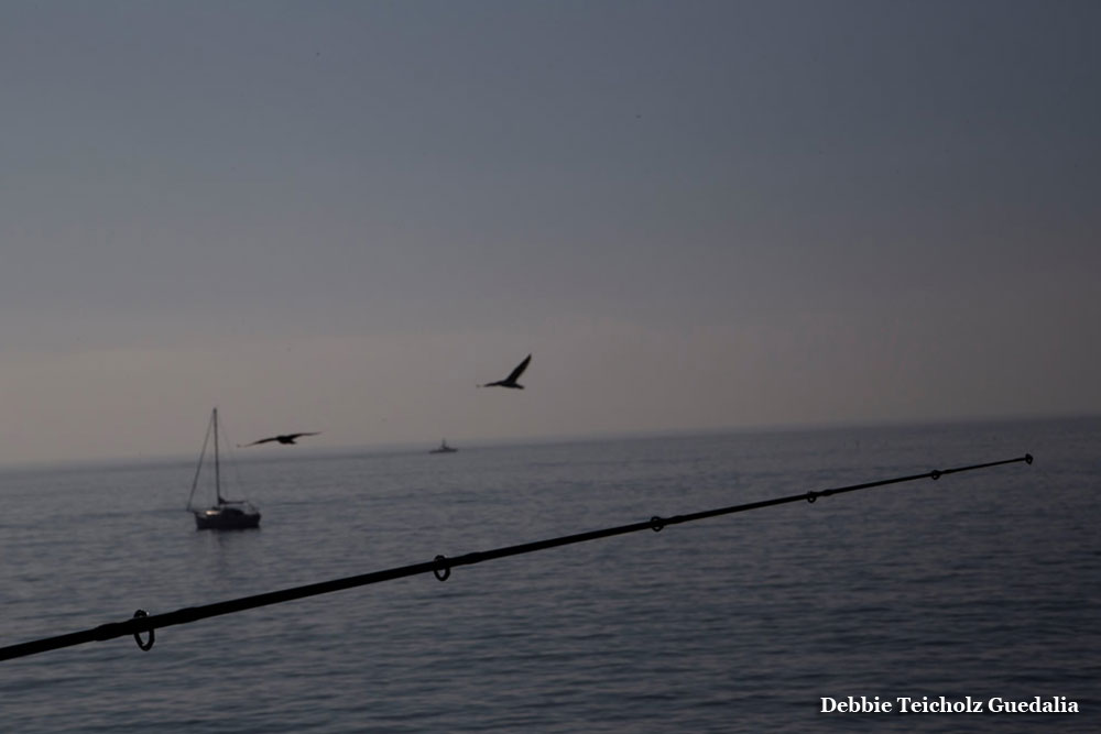 Fishing Pole over the sea, Birds flying, Malibu, California, 2019